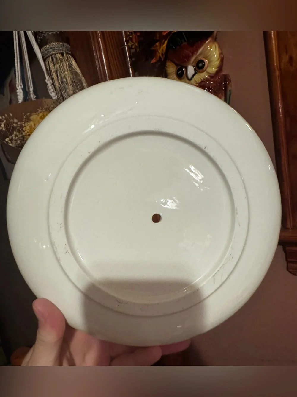Koolkatkoo Cute Cat Ceramic Planter Pot